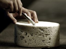 le roquefort: un fromage qui rock fort