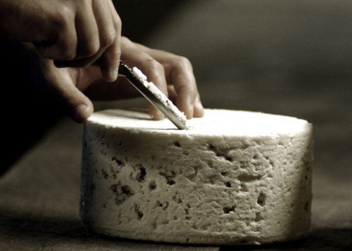 le roquefort: un fromage qui rock fort