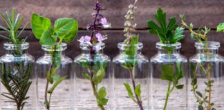 aromatherapie en dosettes